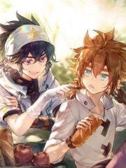 深入了解 菠萝导航